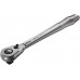 RATEL 1/2 OMSCH.PAL 5004064001
